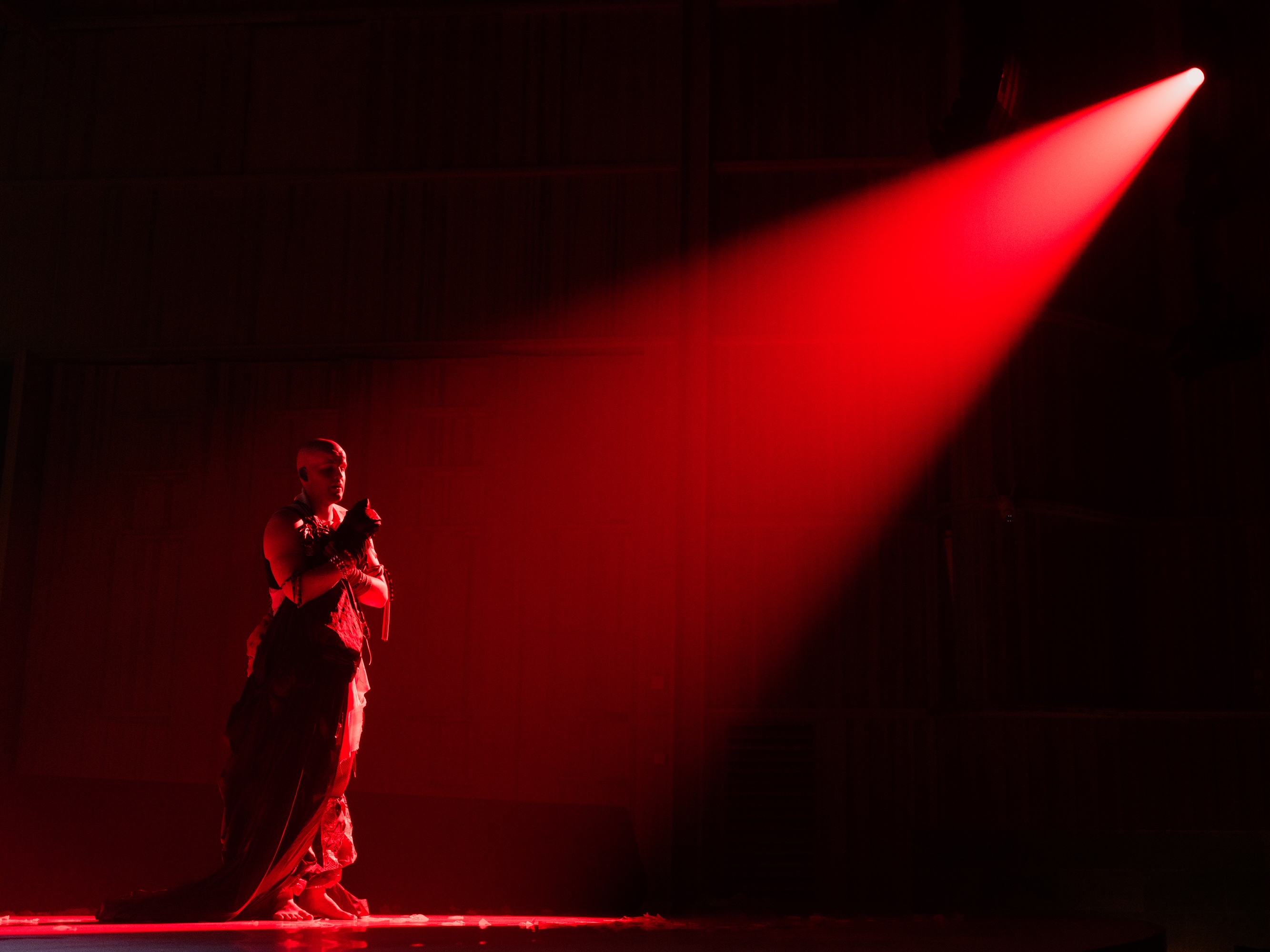 Trapped Butterfly Kuhmo